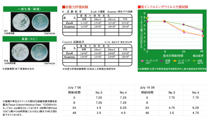 ディンフコン評価試験画像